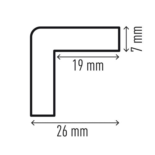 Durable Corner Protection Profile C19