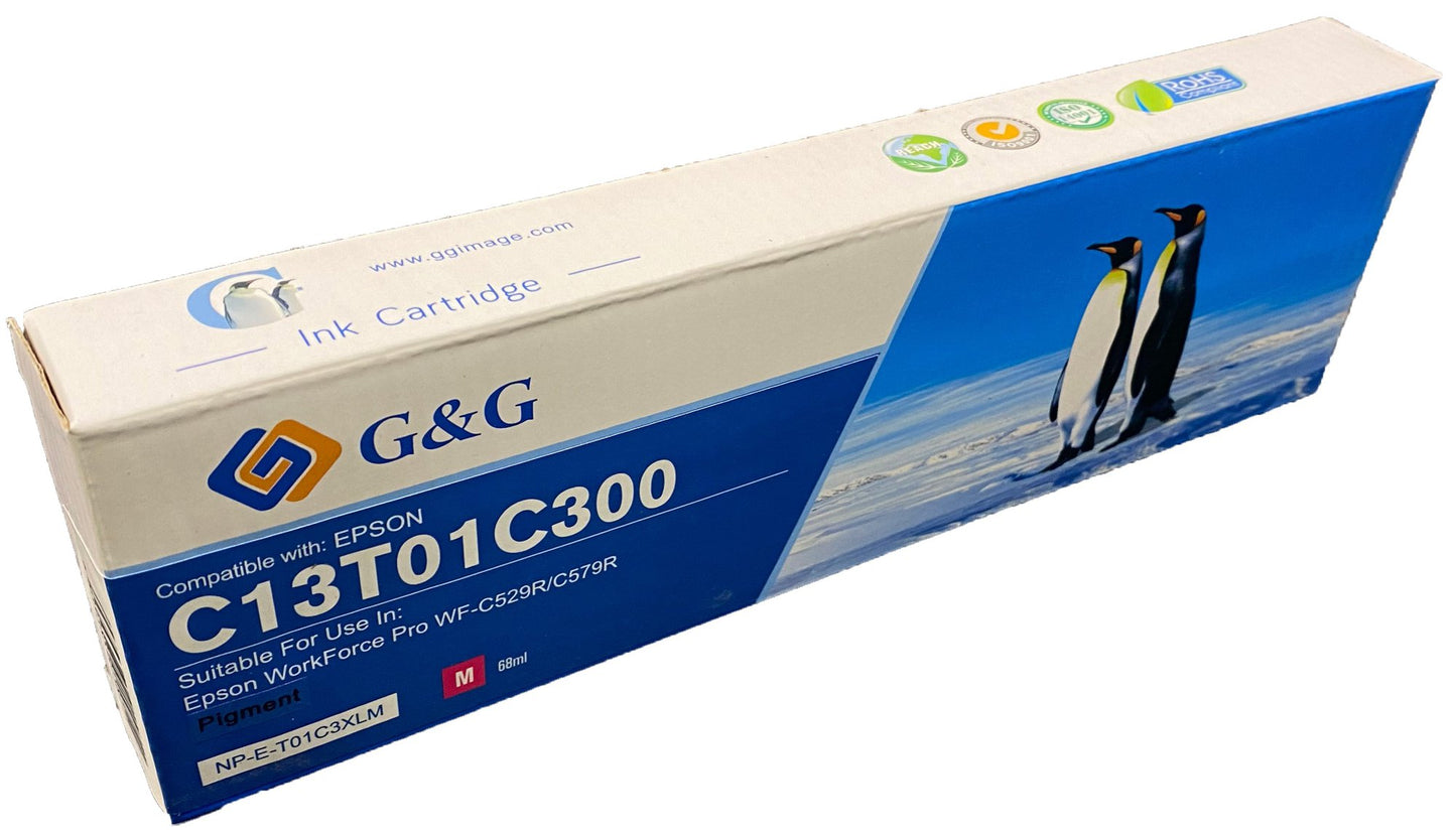 Compatible Epson G+G C13T01C200 Cyan Ink Ctg