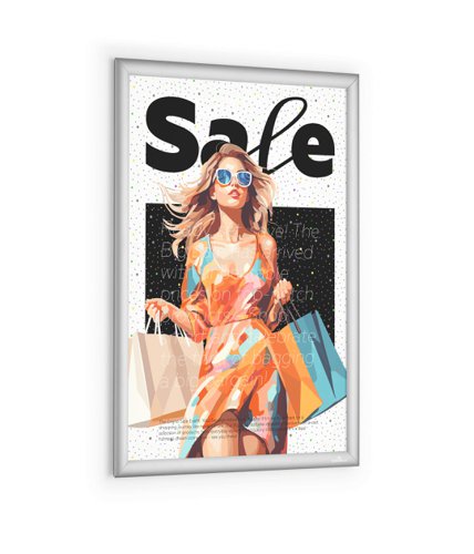Durable Aluminium Snap Frame A2