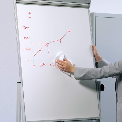 Durable Whiteboard Spray 250ml