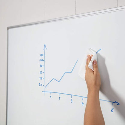 Durable Whiteboard Cloth and Spray Kit