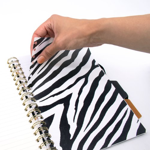 Pukka Pad Wild B5 Hardback Project Book (2) Assorted