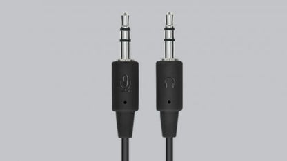 Logitech H110 Stereo Headset