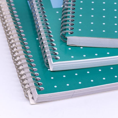 Pukka Pads A4, A5 Lined Metallic Jotta Notepad