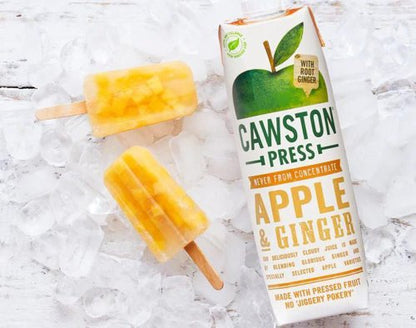 Cawston Press Apple & Ginger 6 x 1L