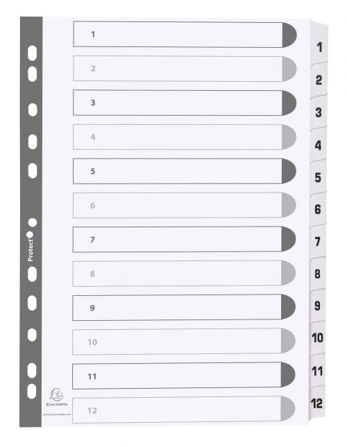 Exacompta Mylar Printed 160 GSM Indices A4 12 Part, 1 to 12, 31 Part, 1 to 31 Numbered Tabs