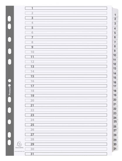 Exacompta Mylar Printed 160 GSM Indices A4 12 Part, 1 to 12, 31 Part, 1 to 31 Numbered Tabs